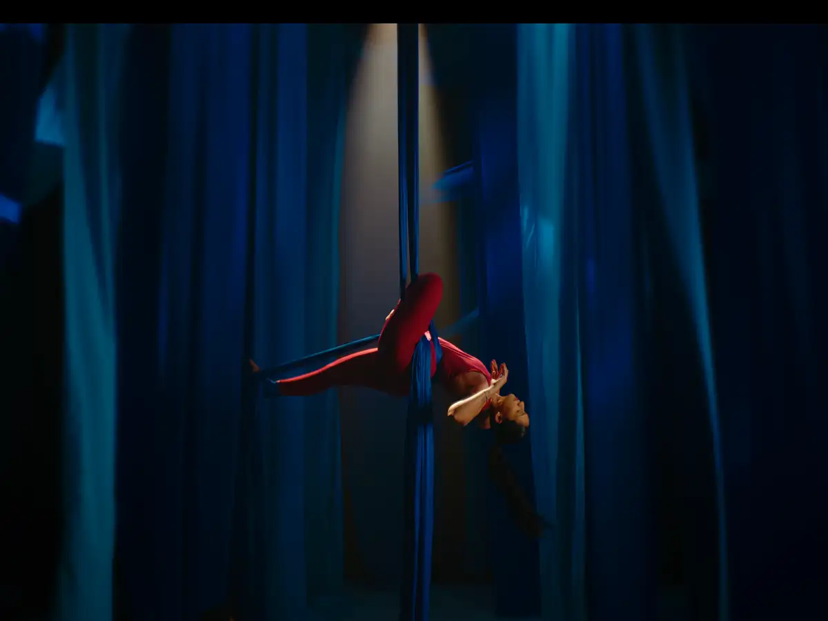 BlueStone- Aerial Artist still 4