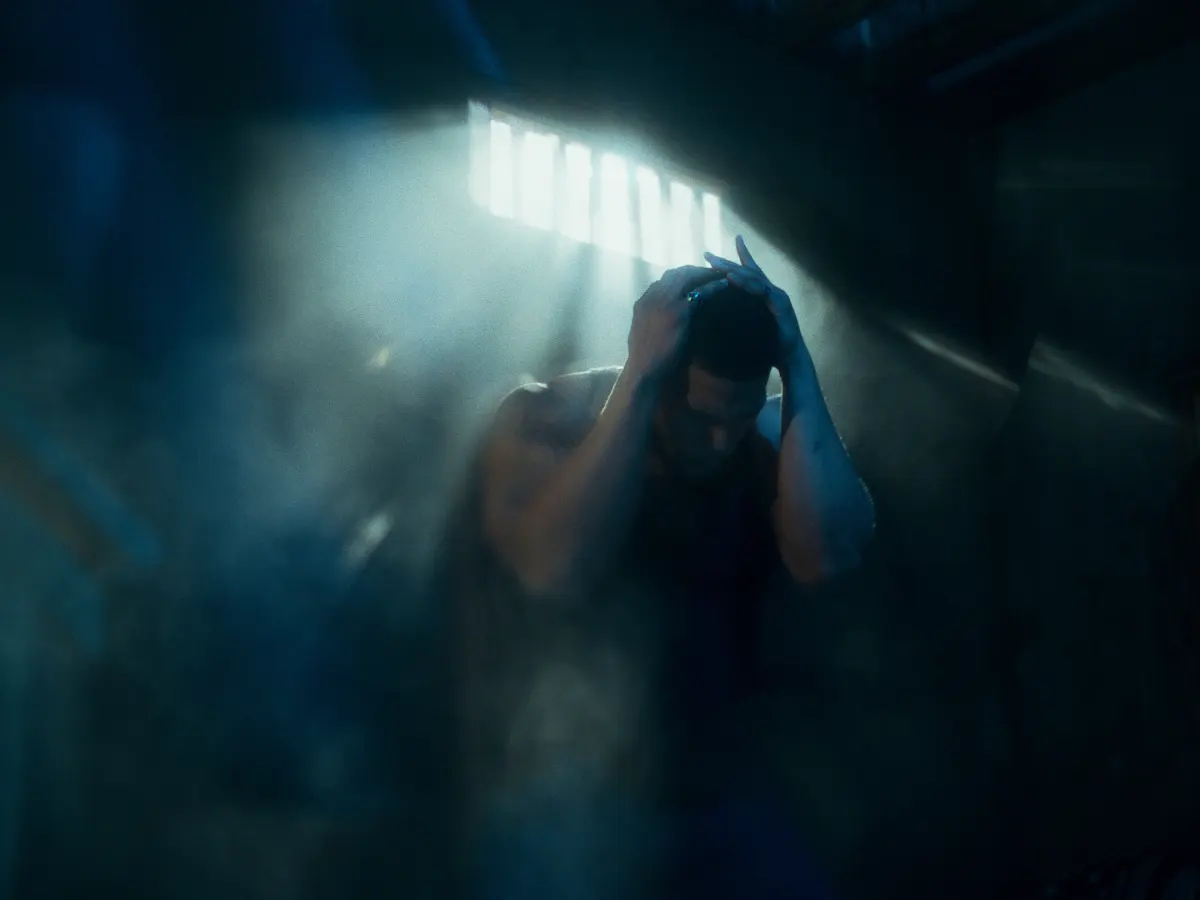 CZU Shadow still 9